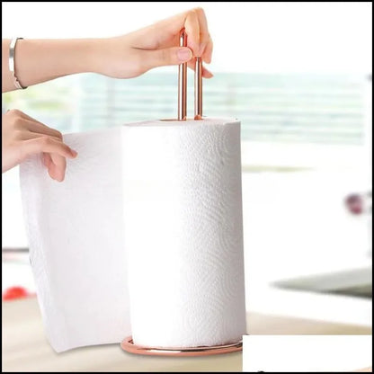 Minimalist Metal Paper Towel Holder